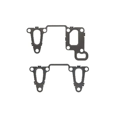 Garnitura zaptivki, AGR-sistem ELRING EL873340 IC-G0LWNC