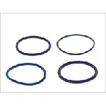 Garnitura zaptivki, brizgaljka za ubrizgavanje DT KLIMA 2.91226 IC-B120E1