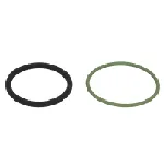 Garnitura zaptivki, brizgaljka za ubrizgavanje ELRING EL819000 IC-E610BD