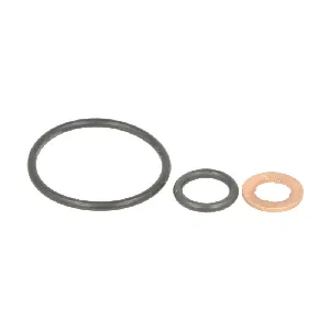 Garnitura zaptivki, brizgaljka za ubrizgavanje LEMA LE28070.50 IC-DDE338