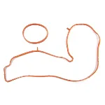 Garnitura zaptivnih elemenata, usisna grana ELRING EL730310 IC-C4C295