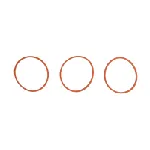 Garnitura zaptivnih elemenata, usisna grana REINZ 11-11551-01 IC-F65425