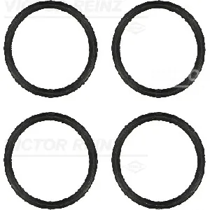 Garnitura zaptivnih elemenata, usisna grana REINZ 11-37824-01 IC-B2F595