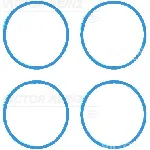 Garnitura zaptivnih elemenata, usisna grana REINZ 11-42216-01 IC-D7F8CB