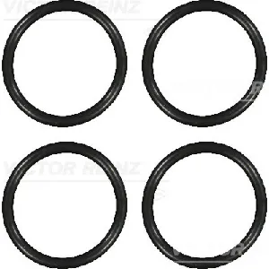 Garnitura zaptivnih elemenata, usisna grana REINZ 11-73388-01 IC-G0V2NO