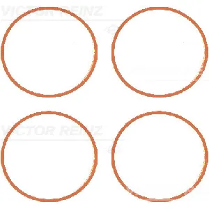 Garnitura zaptivnih elemenata, usisna grana REINZ 11-77639-01 IC-D7F8CF