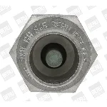 Grejač za paljenje BORGWARNER (BERU) GH 846 IC-203801