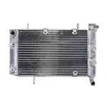 Hladnjak, hlađenje motora 4 RIDE RAD-036 IC-G0PFW8 Hladnjak, hlađenje motora 4 RIDE RAD-036 IC-G0PFW8