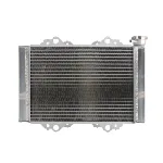 Hladnjak, hlađenje motora 4 RIDE RAD-097 IC-G0PFW9