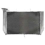 Hladnjak, hlađenje motora 4 RIDE RAD-518 IC-G0PFXN