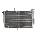 Hladnjak, hlađenje motora 4 RIDE RAD-519 IC-G0PFXO