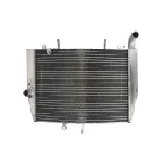 Hladnjak, hlađenje motora 4 RIDE RAD-520 IC-G0PFXP