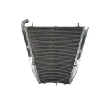 Hladnjak, hlađenje motora 4 RIDE RAD-523 IC-G0PFXT