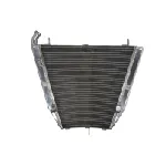 Hladnjak, hlađenje motora 4 RIDE RAD-524 IC-G0PFXU