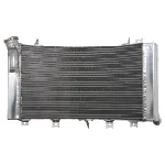 Hladnjak, hlađenje motora 4 RIDE RAD-556 IC-G0PFYQ