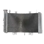 Hladnjak, hlađenje motora 4 RIDE RAD-557 IC-G0PFYR