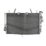 Hladnjak, hlađenje motora 4 RIDE RAD-569 IC-G0PFZ2