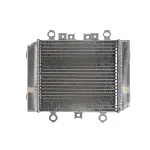 Hladnjak, hlađenje motora 4 RIDE RAD-575 IC-G0PFZE