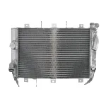 Hladnjak, hlađenje motora 4 RIDE RAD-578 IC-G0PFZH