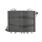 Hladnjak, hlađenje motora 4 RIDE RAD-593 IC-G0PG00