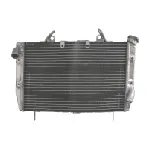 Hladnjak, hlađenje motora 4 RIDE RAD-599 IC-G0PFZ0