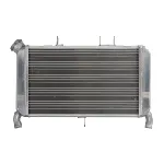 Hladnjak, hlađenje motora 4 RIDE RAD-602 IC-G0PFZ5