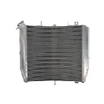 Hladnjak, hlađenje motora 4 RIDE RAD-603 IC-G0PFZV