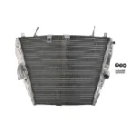 Hladnjak, hlađenje motora 4 RIDE RAD-604 IC-G0PFXW