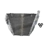 Hladnjak, hlađenje motora 4 RIDE RAD-609 IC-G0PFXC