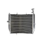 Hladnjak, hlađenje motora 4 RIDE RAD-613 IC-G0PG02