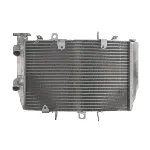 Hladnjak, hlađenje motora 4 RIDE RAD-616 IC-G0PG05