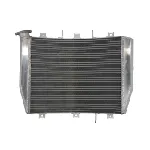 Hladnjak, hlađenje motora 4 RIDE RAD-620 IC-G0PFZG