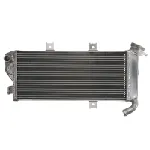 Hladnjak, hlađenje motora 4 RIDE RAD-621 IC-G0PFZO