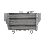 Hladnjak, hlađenje motora 4 RIDE RAD-640 IC-G0PFY1