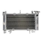 Hladnjak, hlađenje motora 4 RIDE RAD-648 IC-G0PFXH