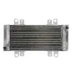 Hladnjak, hlađenje motora 4 RIDE RAD-667 IC-G0PFZC