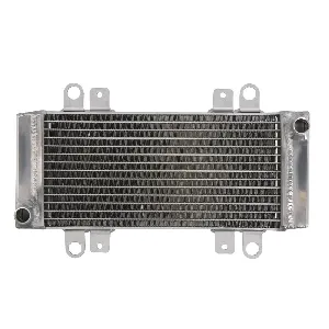 Hladnjak, hlađenje motora 4 RIDE RAD-667 IC-G0PFZC