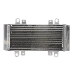 Hladnjak, hlađenje motora 4 RIDE RAD-667 IC-G0PFZC