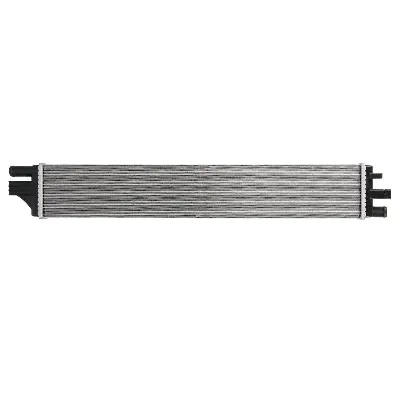 Hladnjak, hlađenje motora THERMOTEC D71032TT IC-F86E88