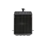 Hladnjak, hlađenje motora THERMOTEC D7AG036TT IC-E519C6