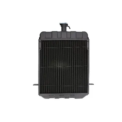 Hladnjak, hlađenje motora THERMOTEC D7AG036TT IC-E519C6