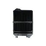Hladnjak, hlađenje motora THERMOTEC D7AG067TT IC-E519EB