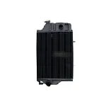 Hladnjak, hlađenje motora THERMOTEC D7AG077TT IC-E519FB