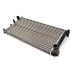 Hladnjak, hlađenje motora THERMOTEC D7F029TT IC-BACB6E