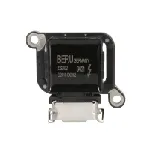 Indukcioni kalem (bobina) BORGWARNER (BERU) ZS 302 IC-G0RXB6