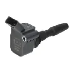 Indukcioni kalem (bobina) BORGWARNER (BERU) ZSE 126 IC-G0RXEC