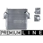 Interkuler MAHLE CI 101 000P IC-G08IXT