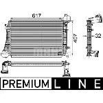 Interkuler MAHLE CI 166 000P IC-G08IYY