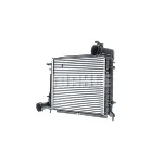 Interkuler MAHLE CI 166 000P IC-G08IYY