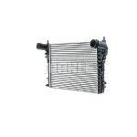 Interkuler MAHLE CI 555 000P IC-G0PCYX